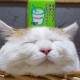 Jimmy_Zhang